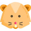 Hamster